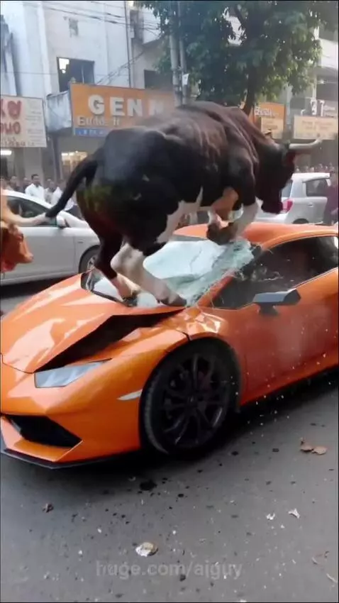 I think you just need to buff that out. by aiguy
