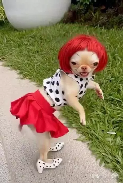 Shake it Mami by aiguy