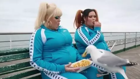 No P*ss Off! by discodave