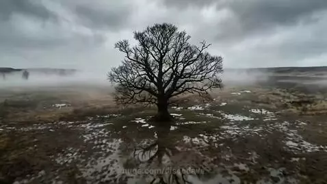 Illustration of heavily armored medieval knights engaged in a fierce battle in a muddy field.