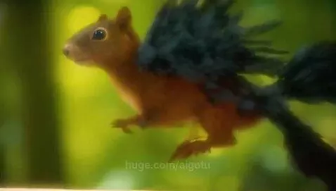 aigotu