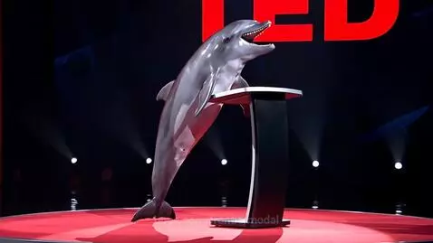 Finding your Porpoise in life! by frontiermodal