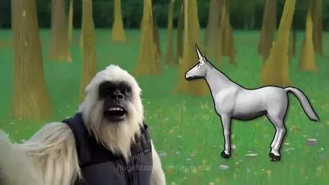 video poster