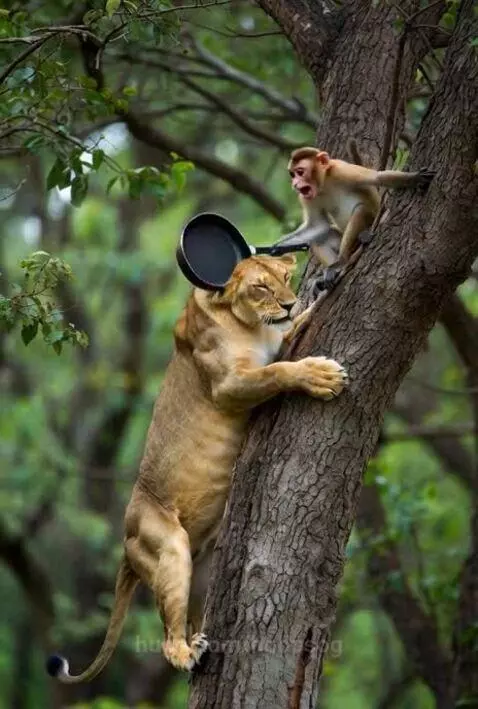 Yo, Back at he Fuck Up. by hoopsog