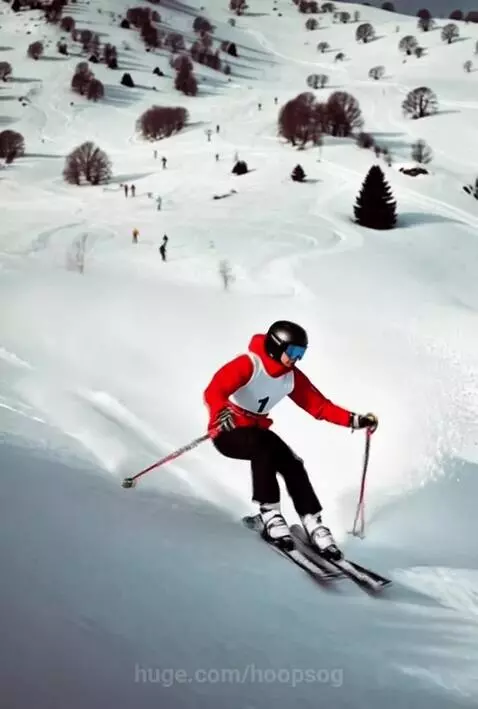 In the Zone by hoopsog