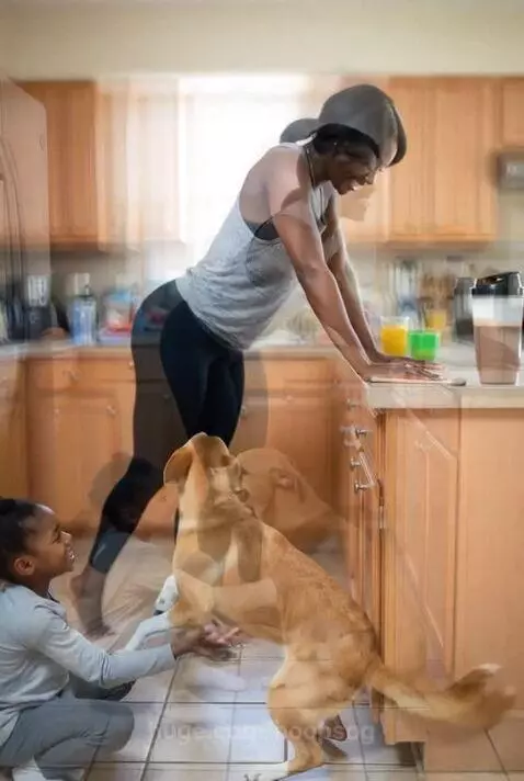 Woman doing push-ups in a kitchen with her daughter cheering and a dog nearby.