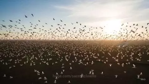 video poster