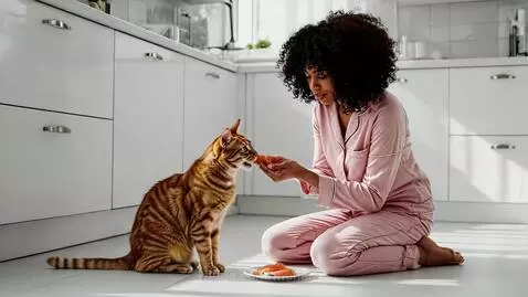 Morning routine by monagz