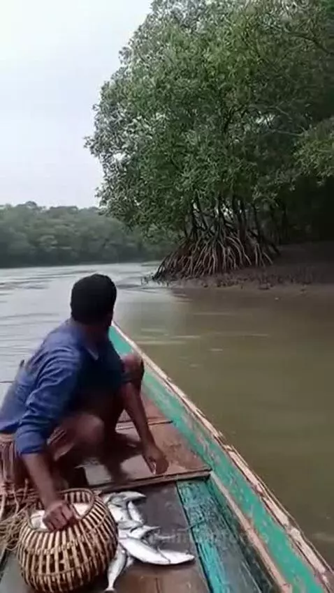 tiger vs man by aimindforge