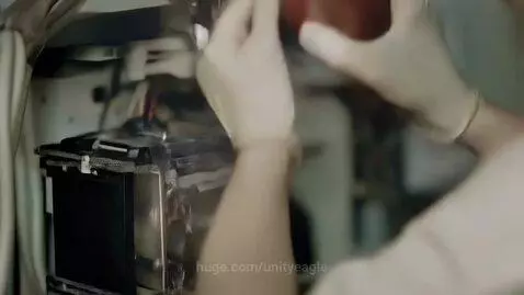 unityeagle