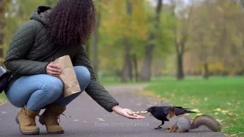 Woman in green jacket crouching, offering peanuts to a crow and squirrel in a park.