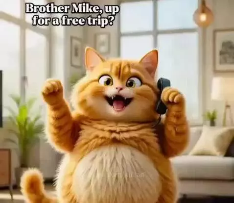 video poster