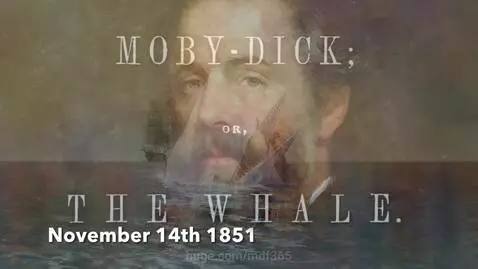 November 14th by mdf365