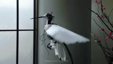 Electric Hummingbird by glennb