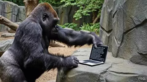 A large gorilla slams a laptop shut in frustration, then smashes it against a rock.