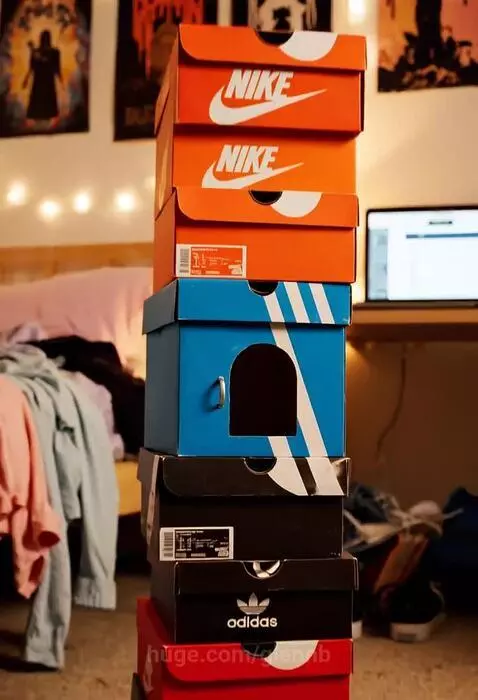 A cute ferret with brown and white fur peeking out of a modified blue Adidas shoe box.
