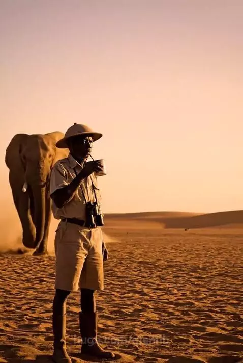 Man in safari outfit with pith helmet drinks in a desert as a large elephant walks by, kicking up dust.