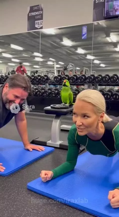 Push-Up Training by iraxlab