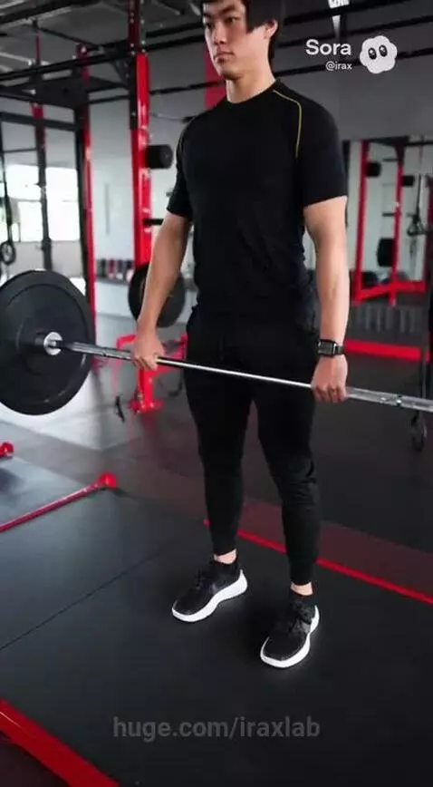 Trainer vibe by iraxlab