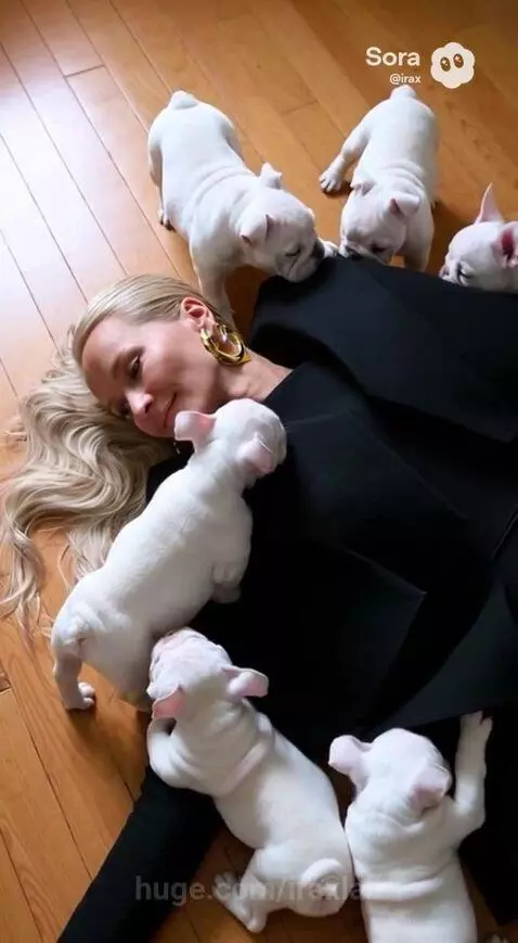 Puppy Love by iraxlab