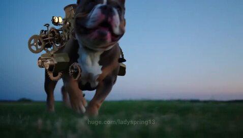 ladyspring13