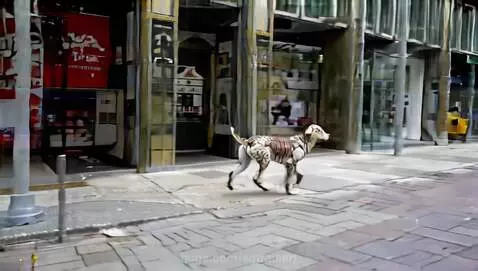 A dog with a fragmented, mosaic-like fur pattern walking on a busy city sidewalk past storefronts.