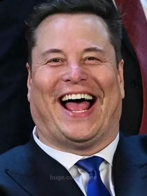 Elon Musk winning! by janne