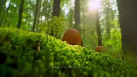 video poster