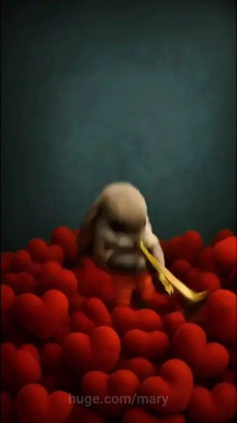 Love Bunny Musician by mary