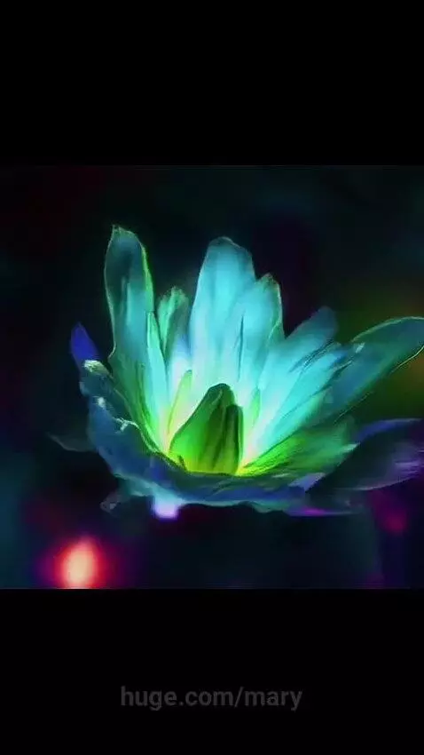 mary post preview