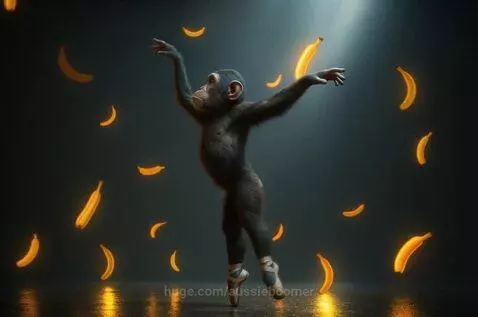 Primate Dance in Rain : Monkey Ballet by aussieboomer