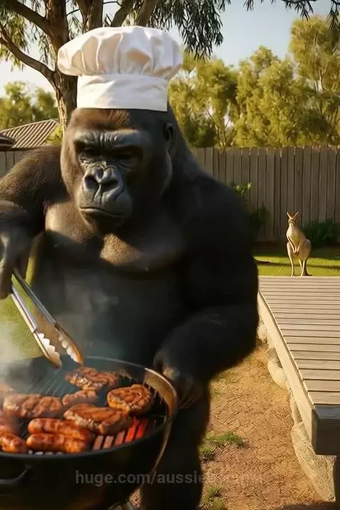 BBQ Kong The Aussie Grill Master by aussieboomer