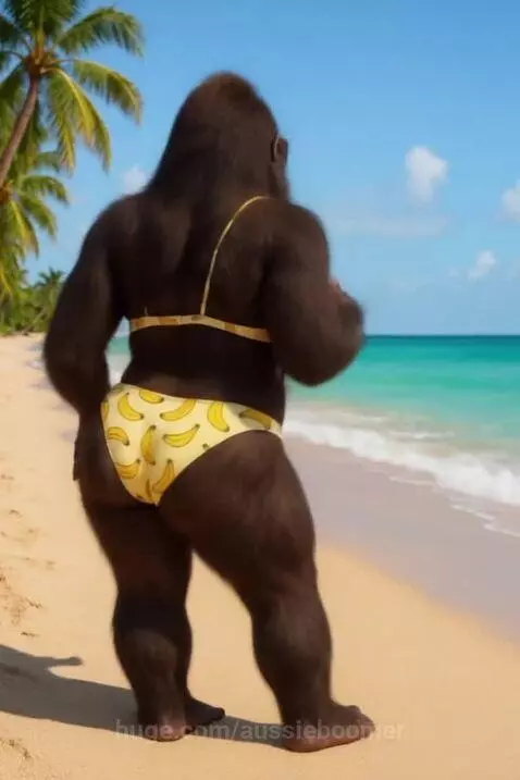 Banana Queen : “Twerk of the Jungle”  LFG FOMO  @fomodaily  ... by aussieboomer