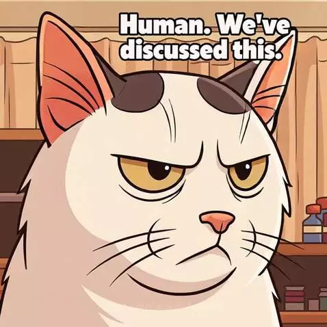 Human, Wev'e Discussed this. Cat Meme by aussieboomer