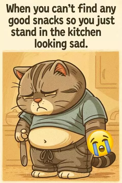 The Snackless Knight - life can be tough  -cat meme by aussieboomer
