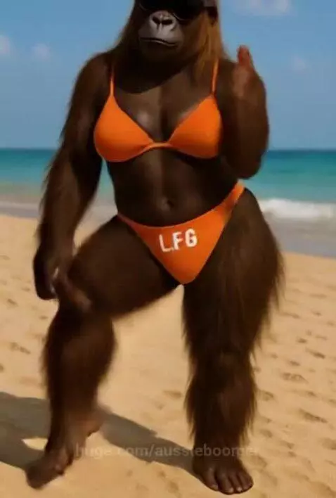 Luna in holiday mode and a new viral Dance - LFG by aussieboomer