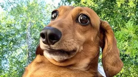 "When you realize you’re smarter than half the humans in the... by aussieboomer
