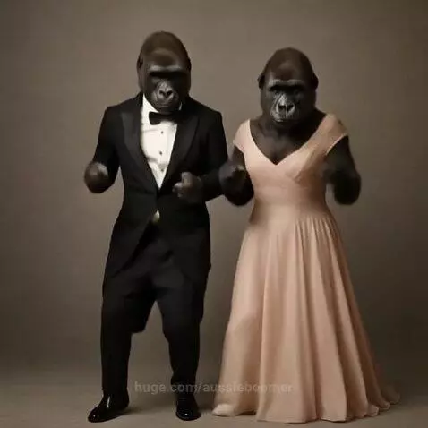 Dressed for BallRoom - Fomo got us "Moto Rules " by aussieboomer