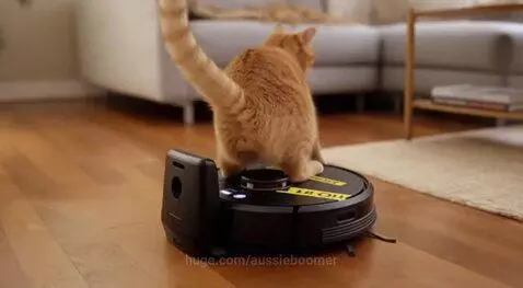 FAFO vacuum mode - cat v vacuum by aussieboomer