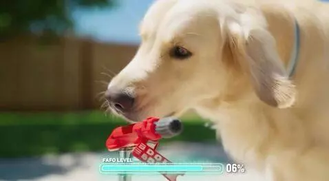 FAFO puppy dog lol by aussieboomer