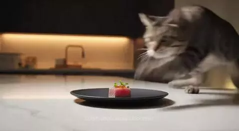 Snooze you loose  Dinner Time by aussieboomer