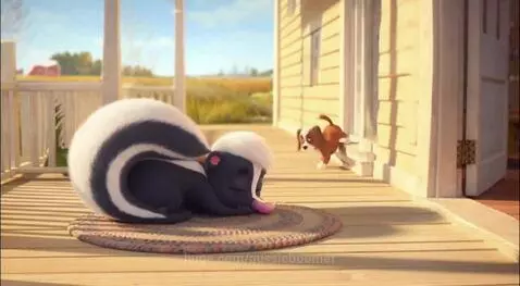 FAFO - a puppies tail lol by aussieboomer