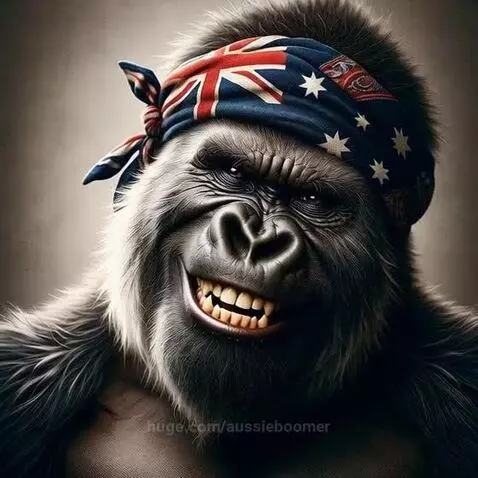 Dad Joke Time by aussieboomer