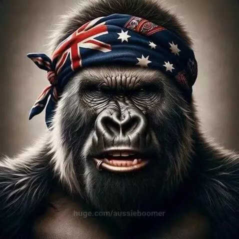 Dad joke Time - your so fat ? by aussieboomer