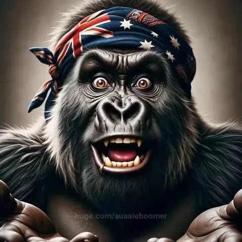 I asked my ai to Roast me and by aussieboomer