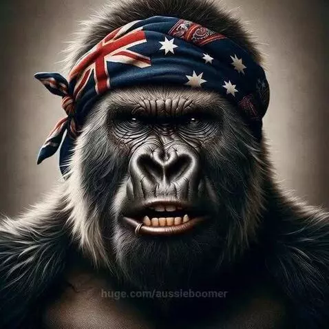 Dad Joke Time - Gorilla Boomer at it again by aussieboomer