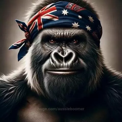 Gorilla Boomer - What is a gorillas favourite ice cream flav... by aussieboomer