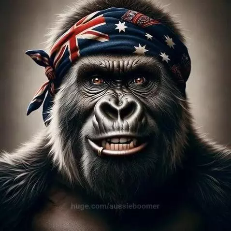 Gorilla Boomer - Joke Time LFG by aussieboomer