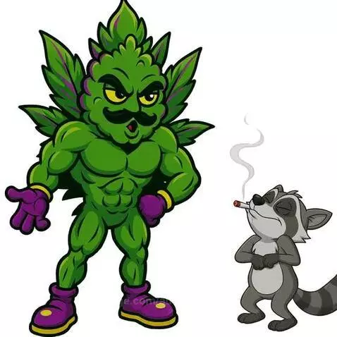 How do you know your a true Stoner LOL #LFG by aussieboomer