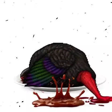 Happy Thanksgiving 2025 enjoy by aussieboomer